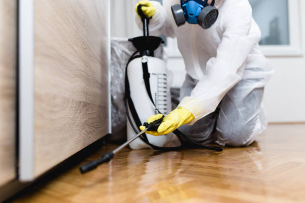 Flea Control Services in The Galena Territory, IL