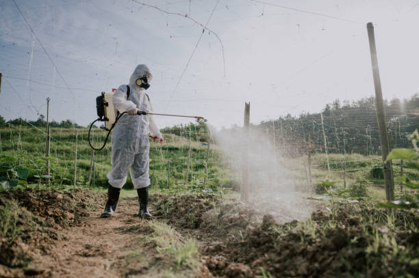 Best Best Pest Control Companies  in The Galena Territory, IL