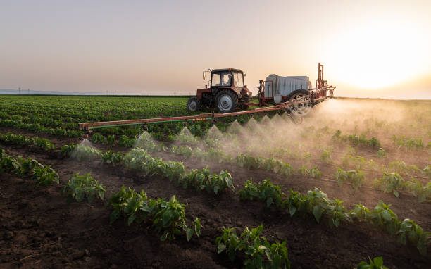 Best Local Pest Control Services  in The Galena Territory, IL