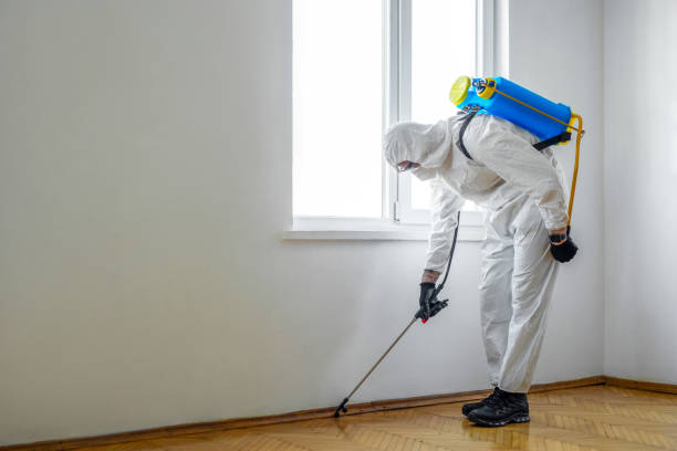Best Emergency Pest Control  in The Galena Territory, IL