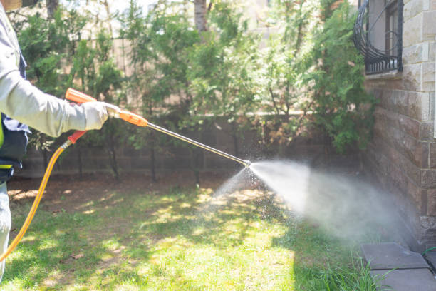 Trusted The Galena Territory, IL Pest Control Experts