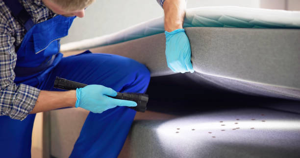Best Affordable Pest Control Services  in The Galena Territory, IL
